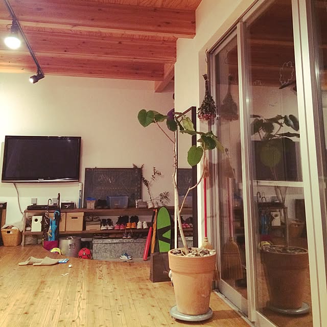 部屋全体/観葉植物のインテリア実例 - 2015-05-21 22:26:08