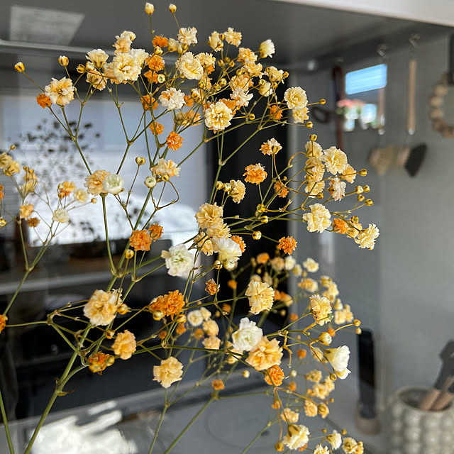 kahomeさんの部屋