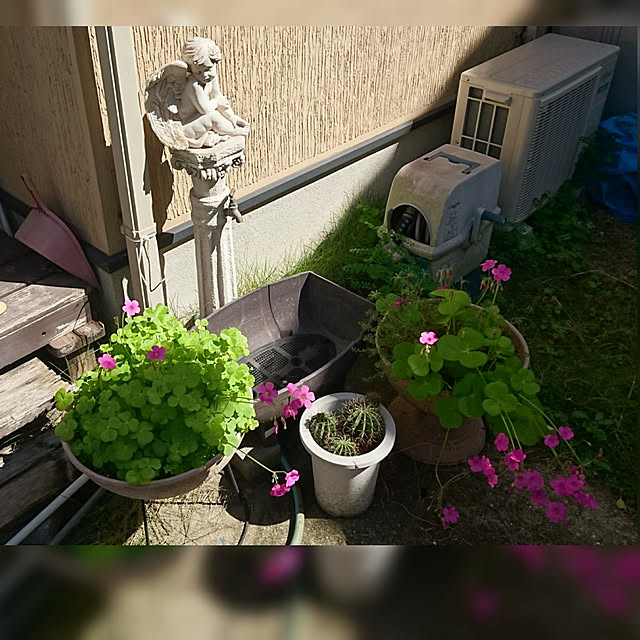 Leonさんの実例写真