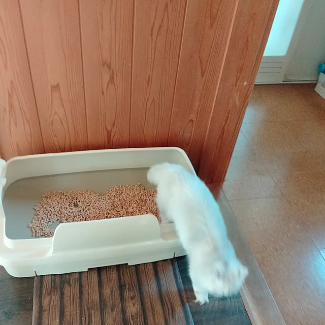 makaronさんの部屋