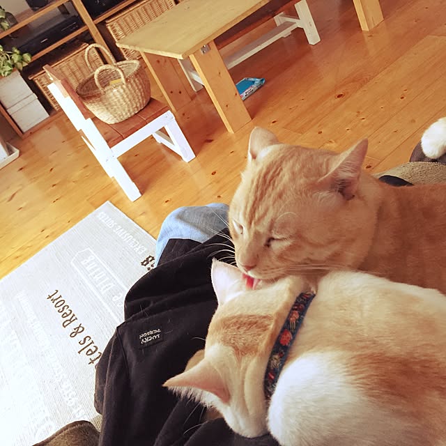 chiimalさんの実例写真