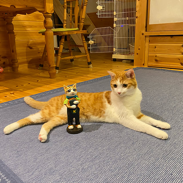 senbei.sakuramochiさんの実例写真