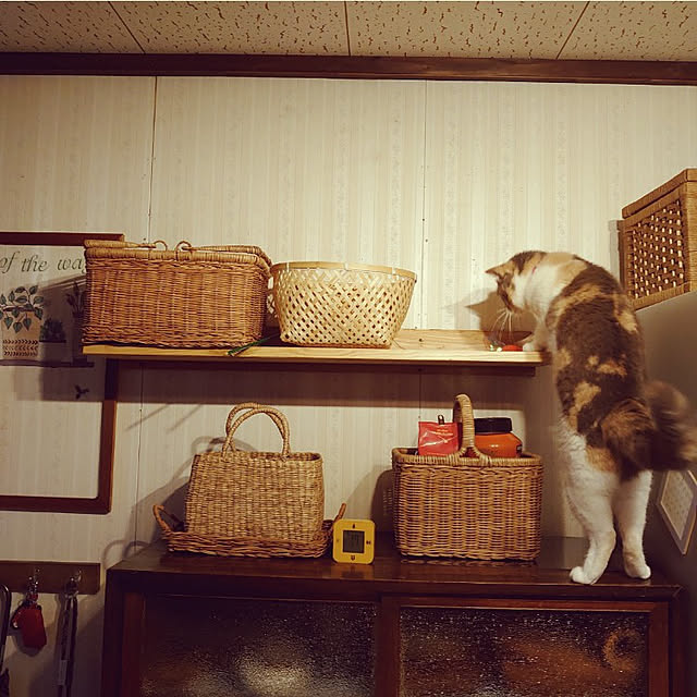 fukuさんの実例写真