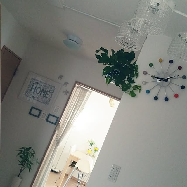 Springさんの実例写真