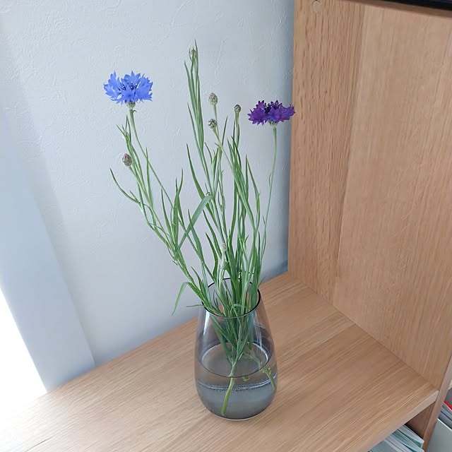 kkmhさんの部屋