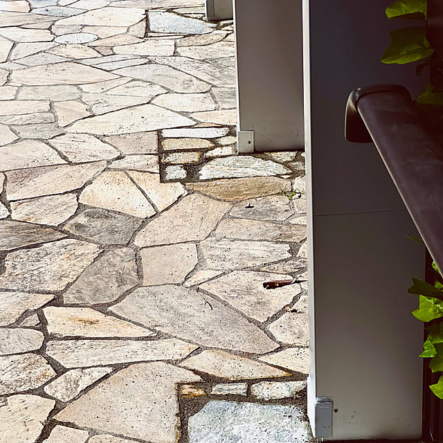 chacoさんの部屋