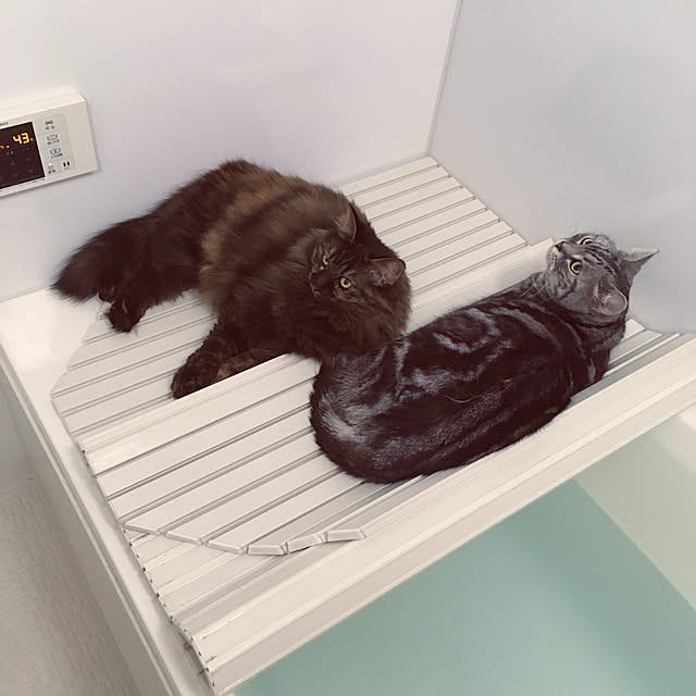 mikomaruさんの実例写真