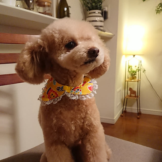 sachikoさんの実例写真