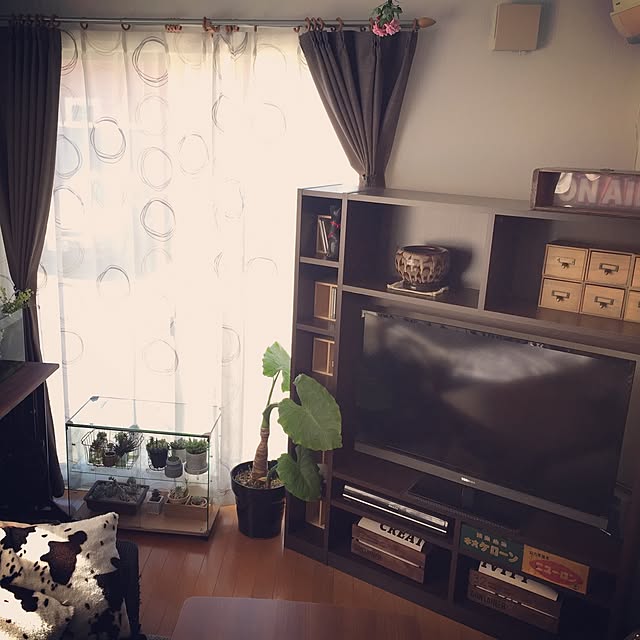 afroさんの実例写真