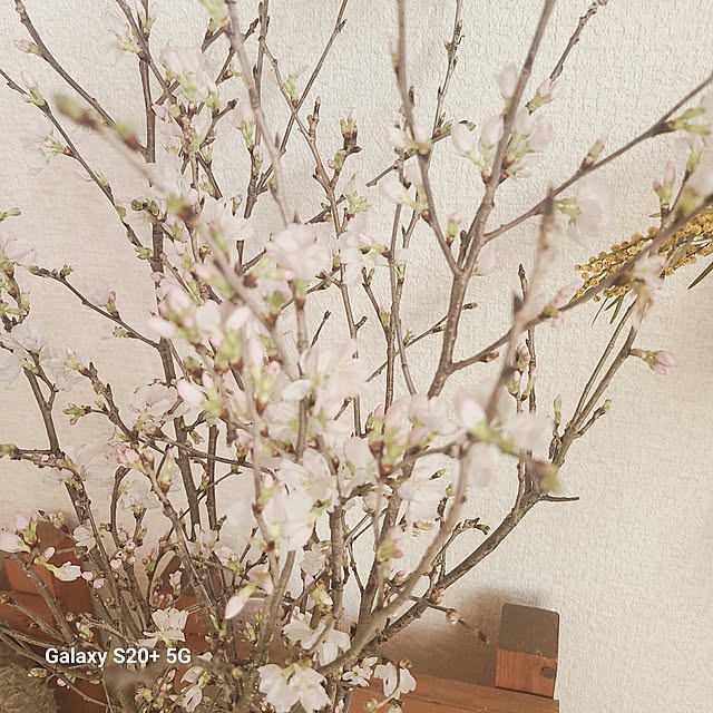 monnさんの部屋