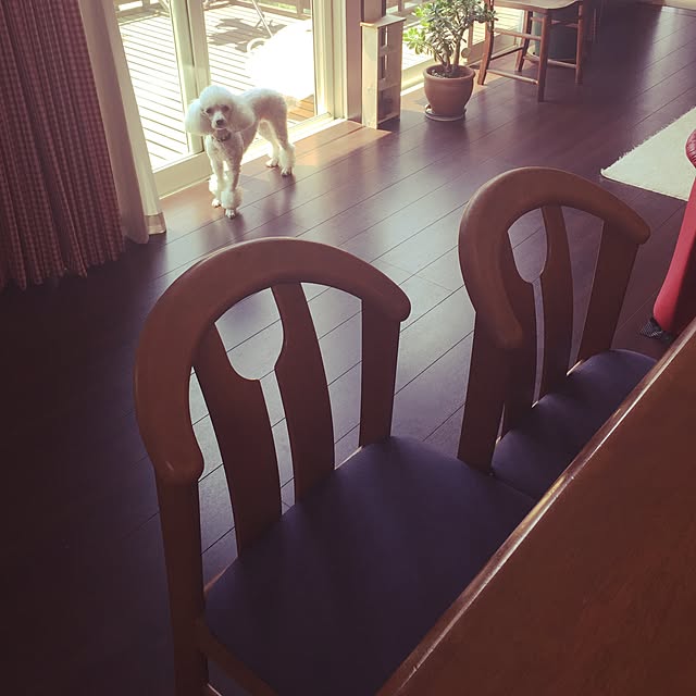 aranさんの実例写真