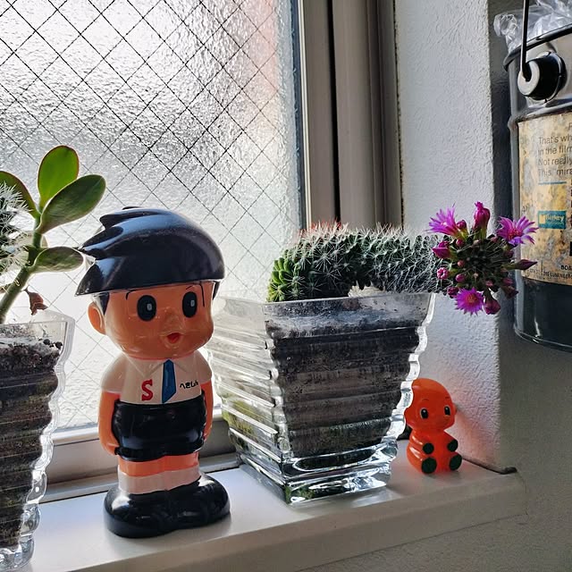 yukki51さんの実例写真
