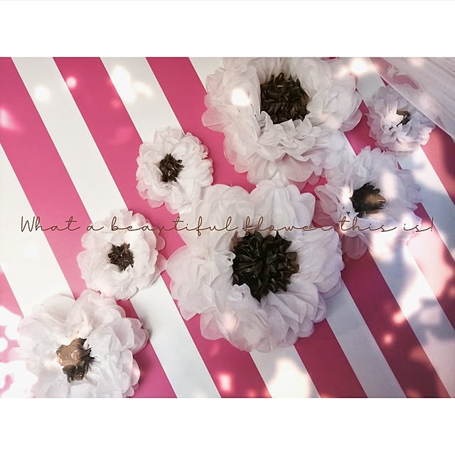 637さんの実例写真