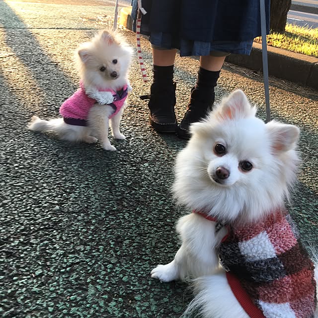 実例写真