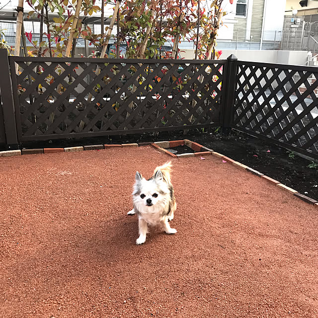 Ericakさんの実例写真
