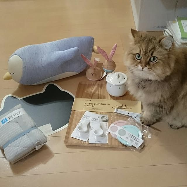 nanoさんの実例写真