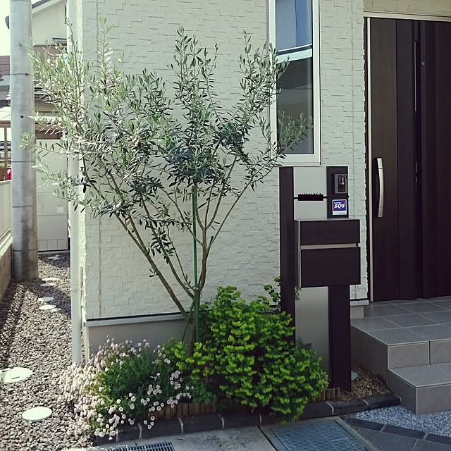 tomo77さんの実例写真