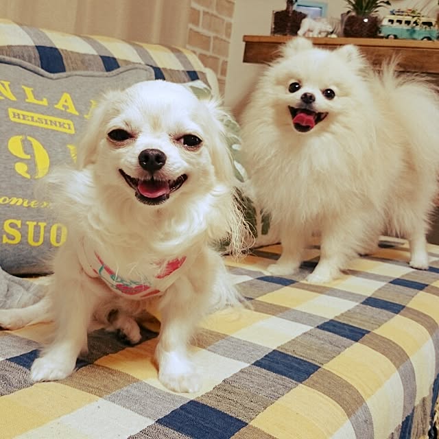 yukaさんの実例写真