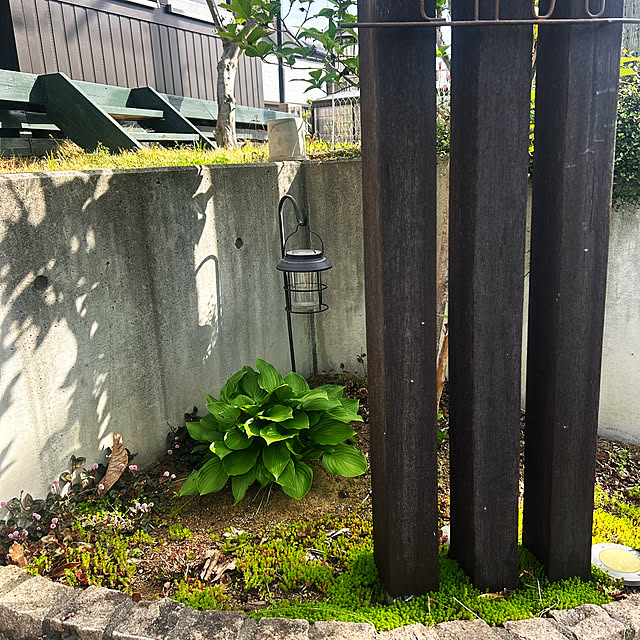 1TAさんの実例写真