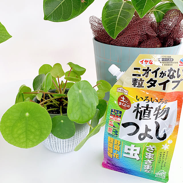 suzumaruさんの部屋