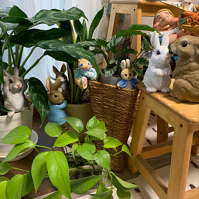 Aqettyさんの部屋