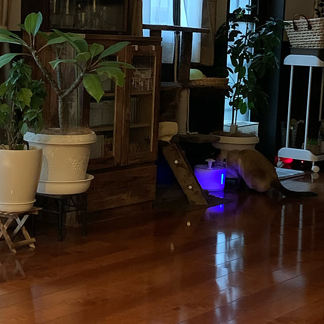 shi622さんの実例写真