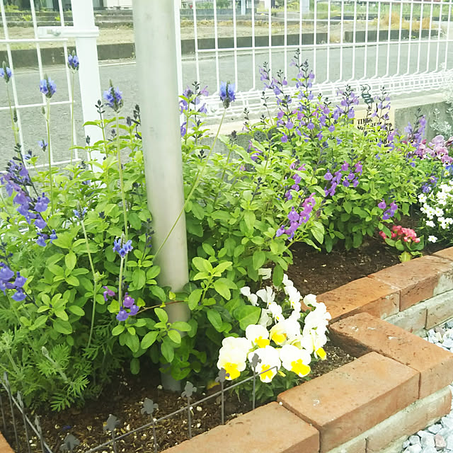 eriponさんの実例写真