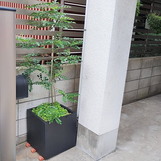 jinさんの部屋