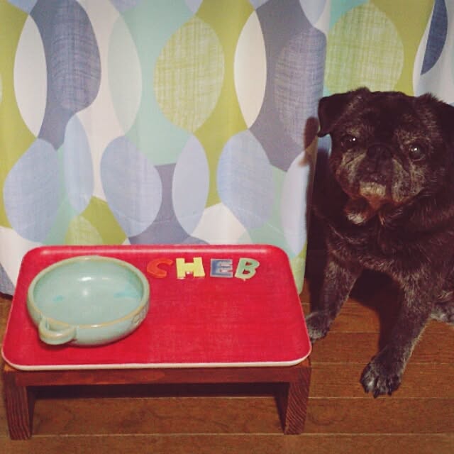teftef9689さんの実例写真