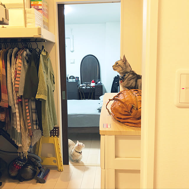 mutsuさんの実例写真