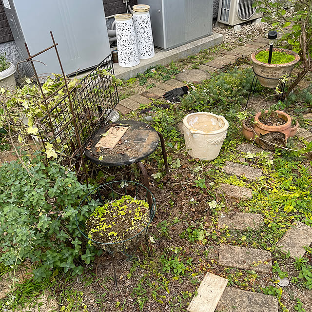 kikiさんの部屋