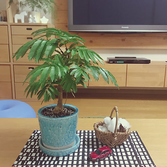 yukaさんの実例写真