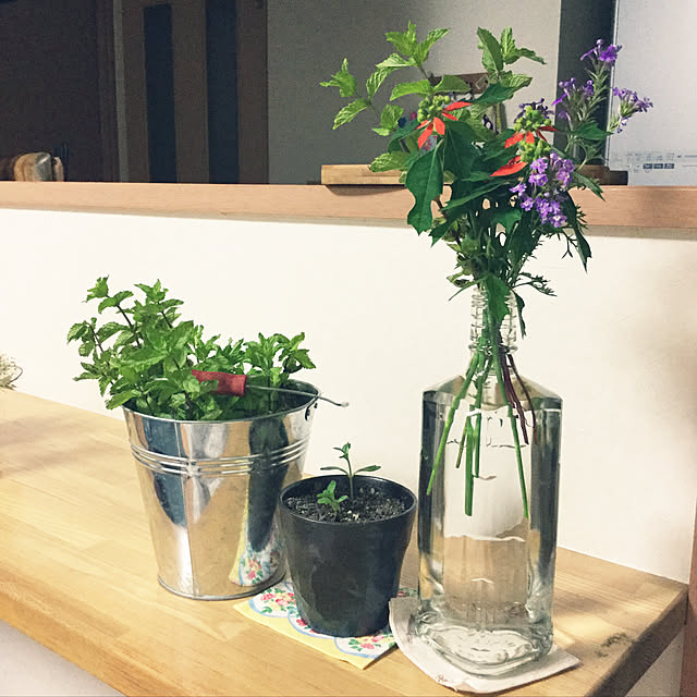 tudukiさんの実例写真