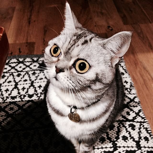 fuku48さんの実例写真