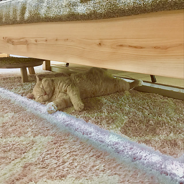 naokoさんの実例写真