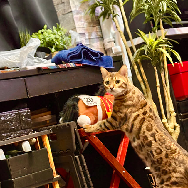 tututu0204さんの部屋