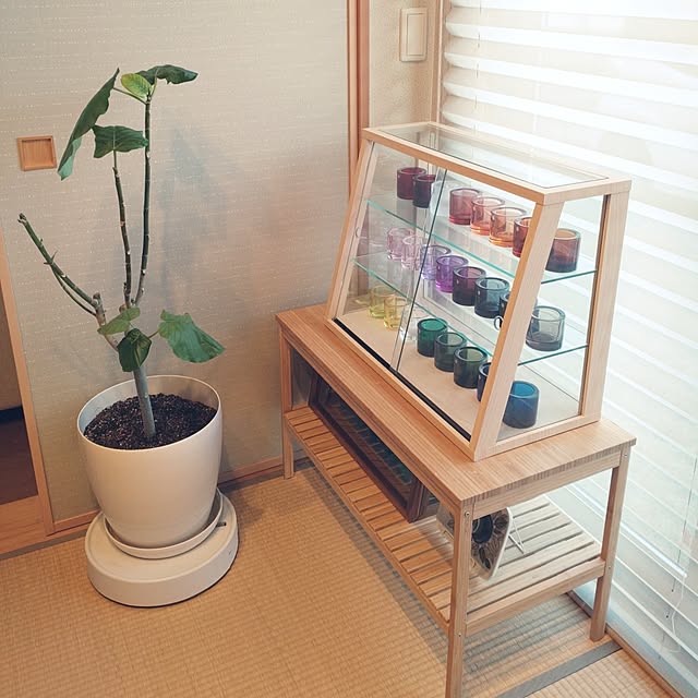 tan5さんの実例写真