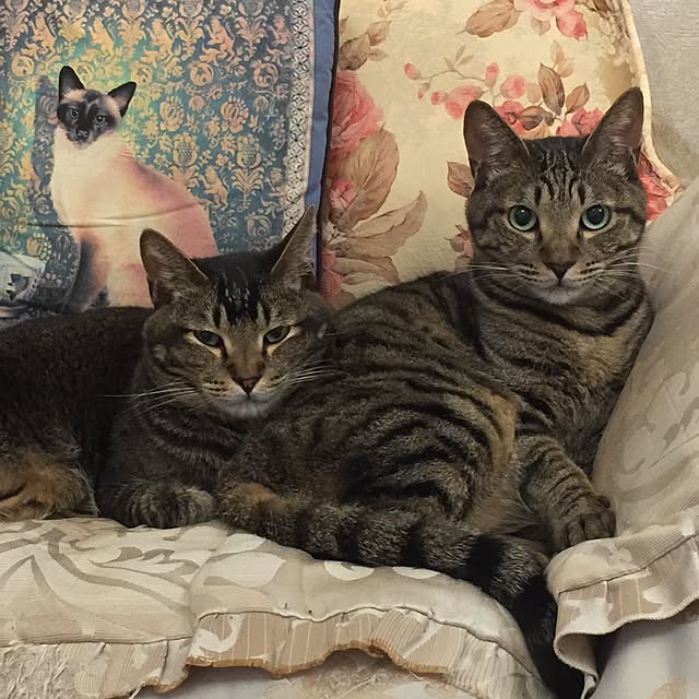 kyoさんの実例写真