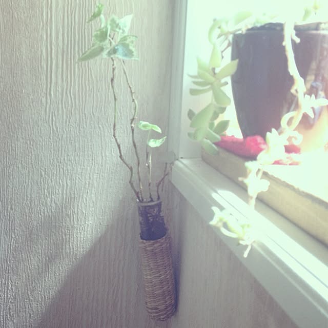 botanさんの実例写真
