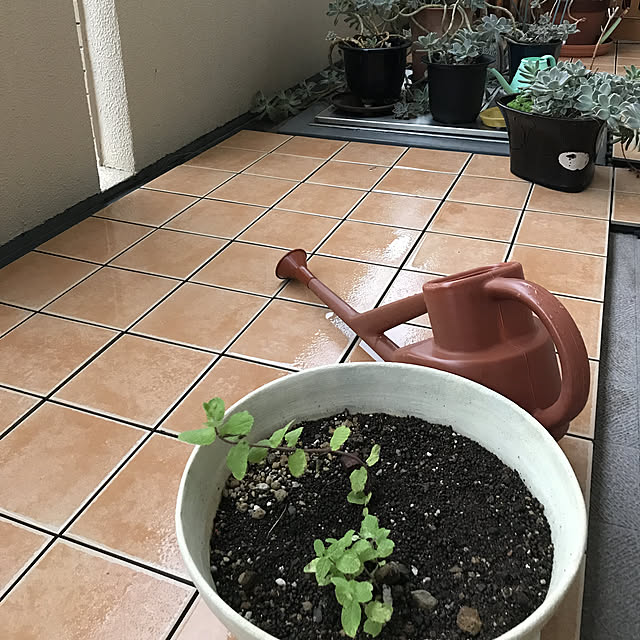 nonさんの実例写真