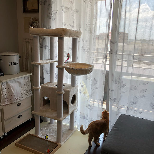 Atelier.mさんの実例写真