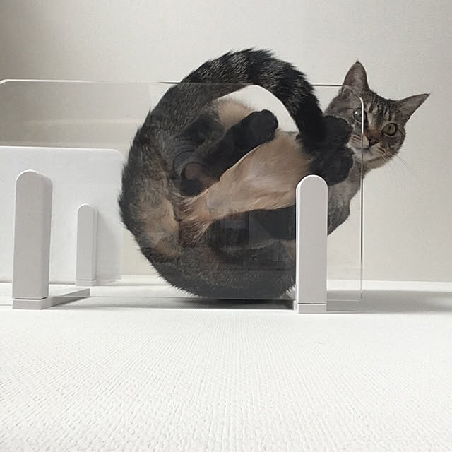 mikomaruさんの実例写真