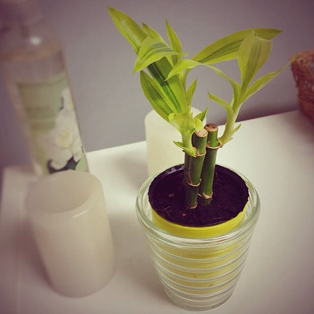 marimaryxさんの実例写真