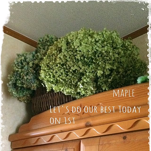 mapleさんの実例写真