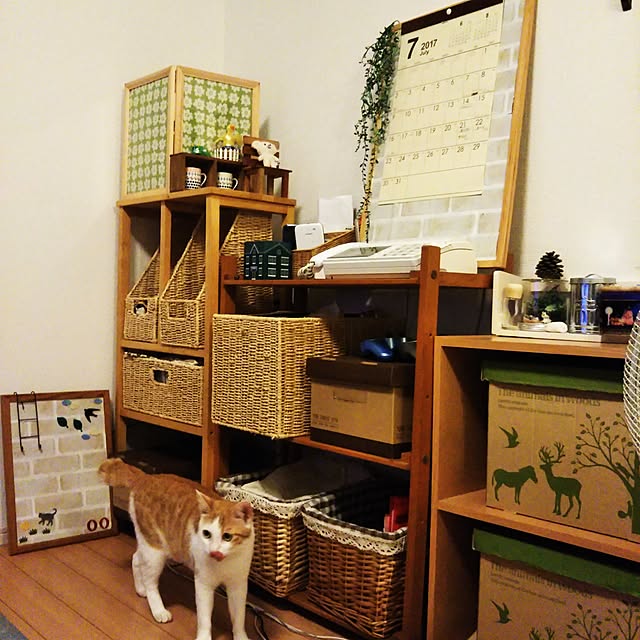 TobyZeroさんの実例写真
