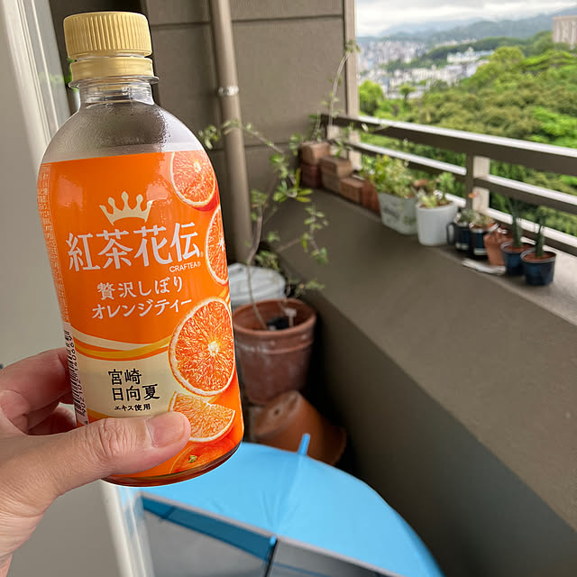koshiregutyoさんの実例写真