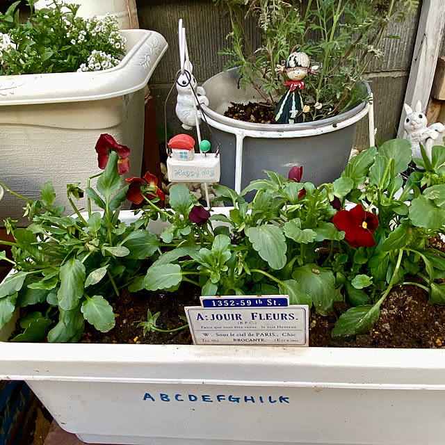 YuuKoさんの部屋