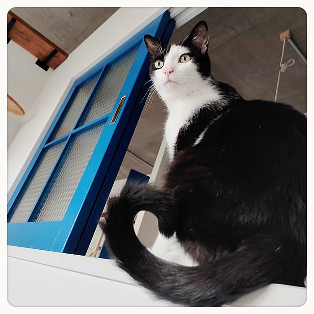 tammyさんの実例写真