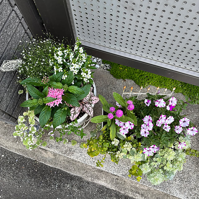 maayaさんの部屋