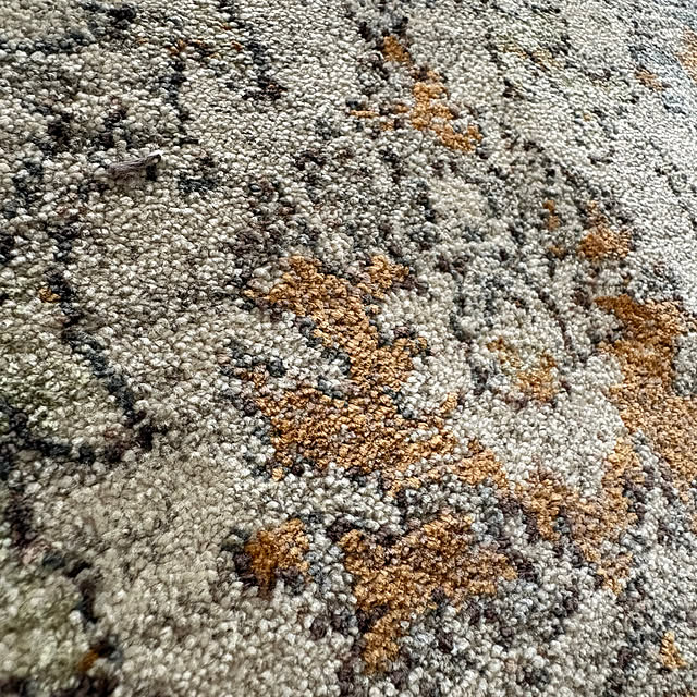 sayakaさんの部屋